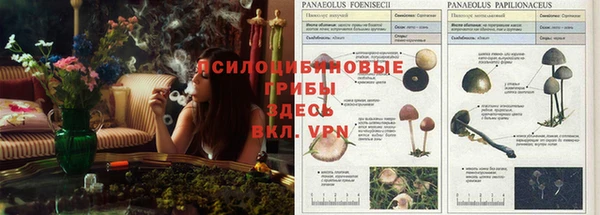 марки lsd Абинск