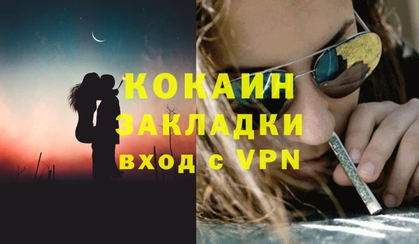 первитин Няндома
