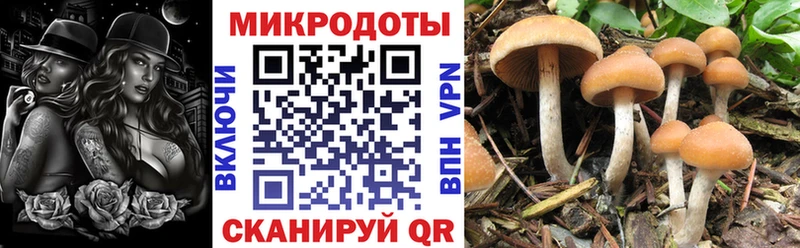 MEGA рабочий сайт Кандалакша Галлюциногенные грибы мухоморы закладка